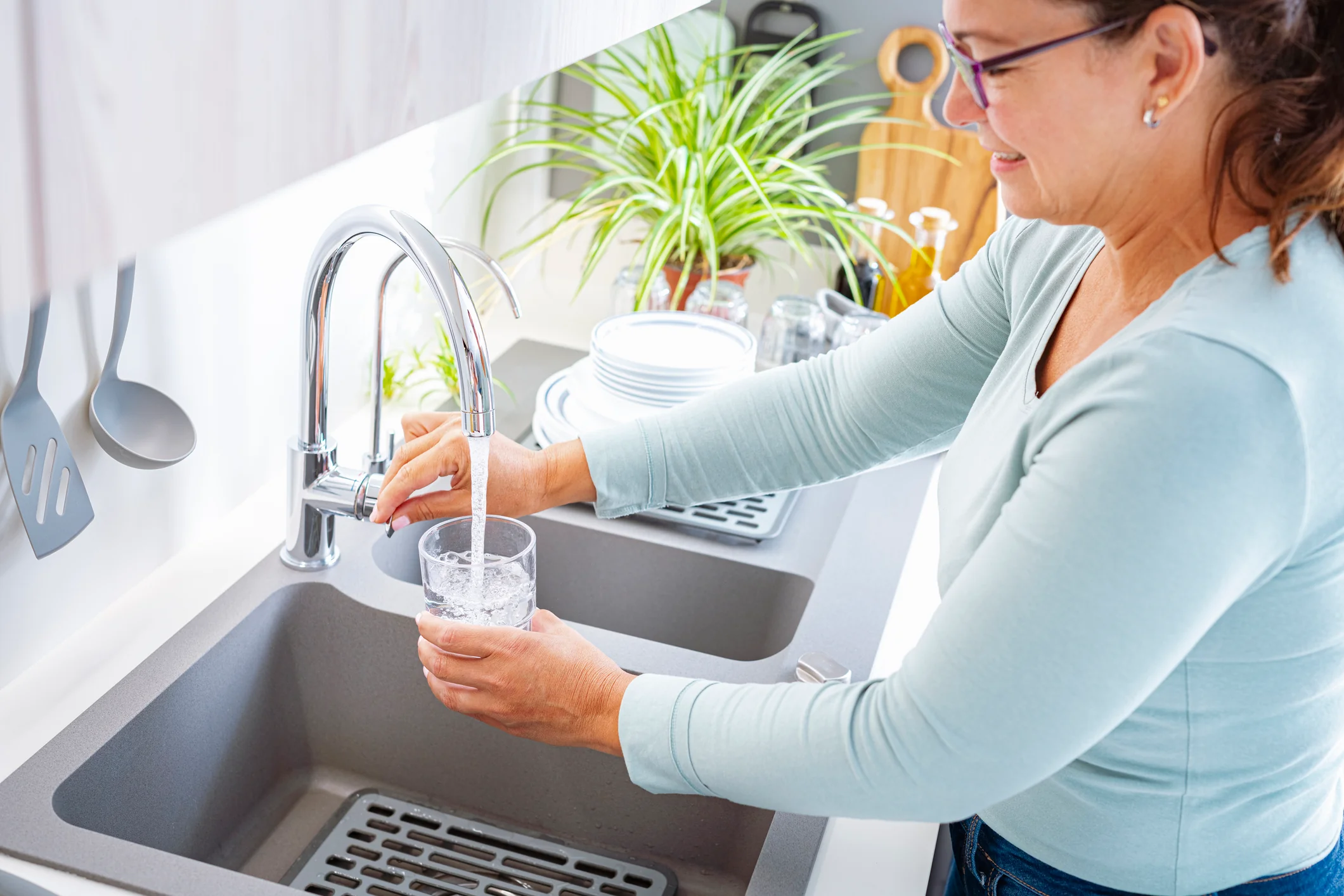 Well Water Iron Filter - Image 3